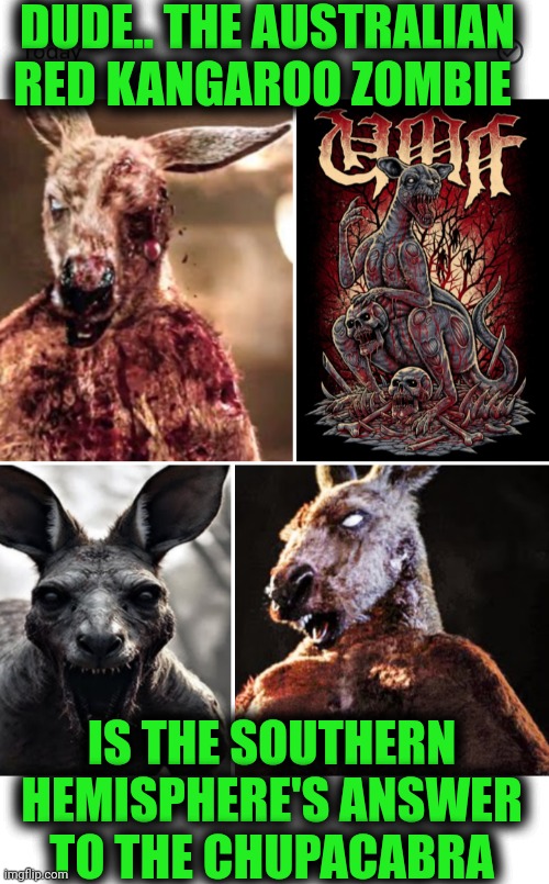 Funny | DUDE.. THE AUSTRALIAN RED KANGAROO ZOMBIE; IS THE SOUTHERN HEMISPHERE'S ANSWER TO THE CHUPACABRA | image tagged in funny,australia,kangaroo,zombie,halloween,answer | made w/ Imgflip meme maker