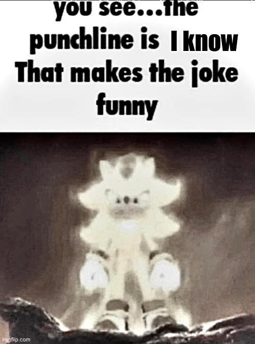 Shadow explains the joke | I know | image tagged in shadow explains the joke | made w/ Imgflip meme maker