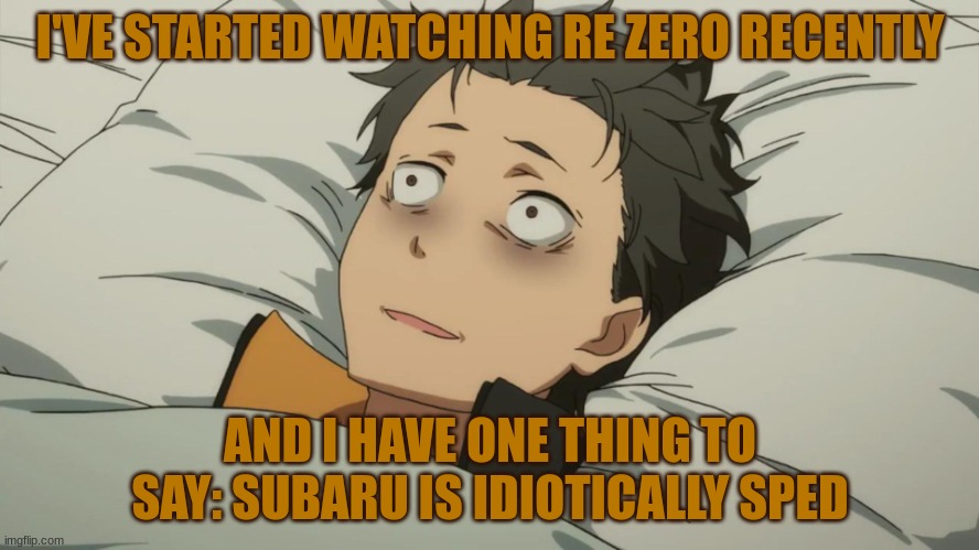 It's a good anime overall though | I'VE STARTED WATCHING RE ZERO RECENTLY; AND I HAVE ONE THING TO SAY: SUBARU IS IDIOTICALLY SPED | image tagged in re zero subaru | made w/ Imgflip meme maker