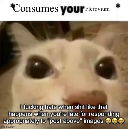 Yakko consumes your flerovium | I fucking hate when shit like that happens when you're late for responding appropriately to "post above" images 😭😭😭 | image tagged in yakko consumes your flerovium | made w/ Imgflip meme maker