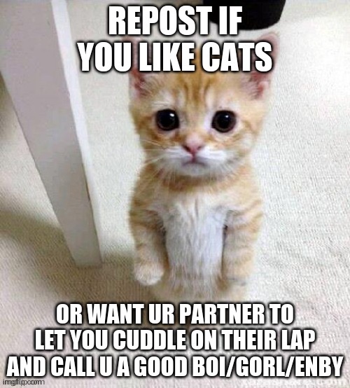 I don’t have a partner but if I did… | image tagged in repost | made w/ Imgflip meme maker