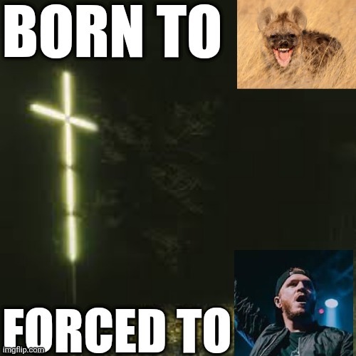 Referring to screaming version of a hyena laugh btw | made w/ Imgflip meme maker