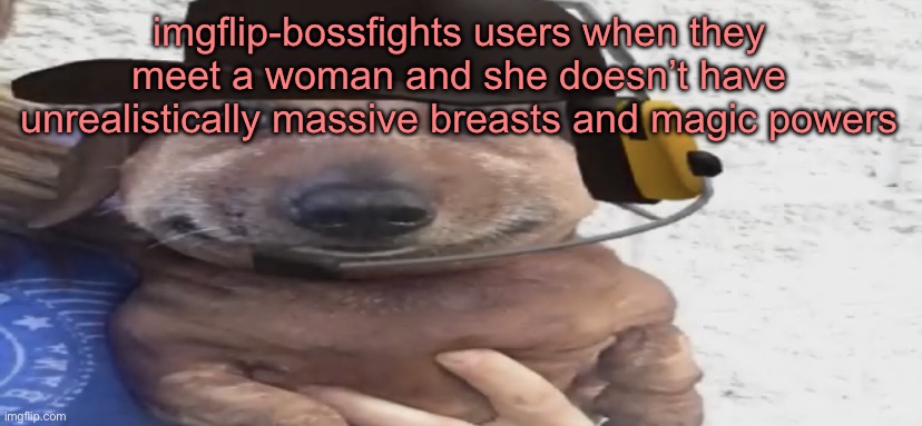 chucklenuts | imgflip-bossfights users when they meet a woman and she doesn’t have unrealistically massive breasts and magic powers | image tagged in chucklenuts | made w/ Imgflip meme maker