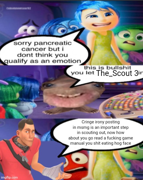 sorry pancreatic cancer but I don’t think you qualify as an emot | The_Scout 3; Cringe irony posting in msmg is an important step in scouting out, now how about you go read a fucking game manual you shit eating hog face | image tagged in sorry pancreatic cancer but i don t think you qualify as an emot | made w/ Imgflip meme maker