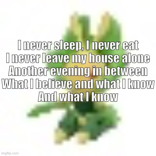 144p Leavanny | I never sleep, I never eat
I never leave my house alone
Another evening in between
What I believe and what I know
And what I know | image tagged in 144p leavanny | made w/ Imgflip meme maker