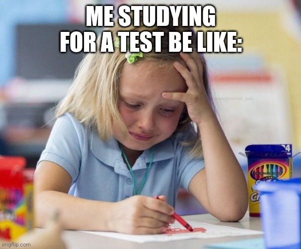 Crying Girl drawing | ME STUDYING FOR A TEST BE LIKE: | image tagged in crying girl drawing | made w/ Imgflip meme maker