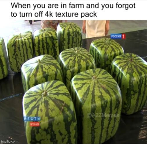 watermelon | image tagged in memes,minecraft | made w/ Imgflip meme maker