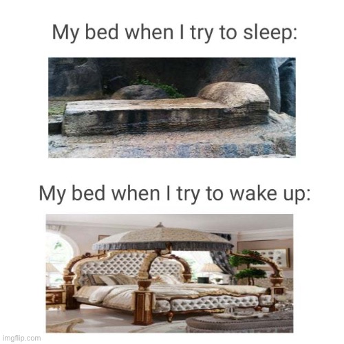 They’re very comfy man | image tagged in school,bed,waking up | made w/ Imgflip meme maker