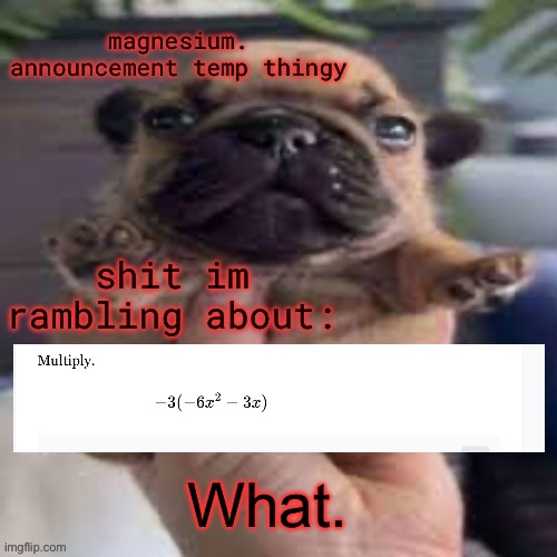 pug temp | What. | image tagged in pug temp | made w/ Imgflip meme maker