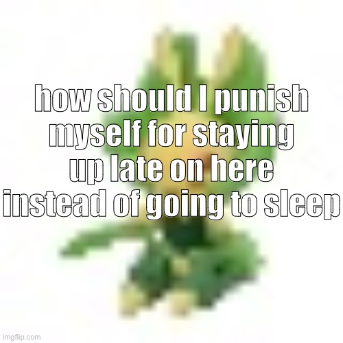 144p Leavanny | how should I punish myself for staying up late on here instead of going to sleep | image tagged in 144p leavanny | made w/ Imgflip meme maker