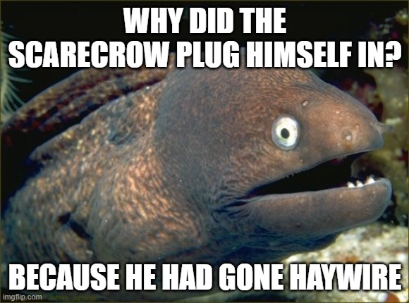 Bad Joke Eel Meme | WHY DID THE SCARECROW PLUG HIMSELF IN? BECAUSE HE HAD GONE HAYWIRE | image tagged in memes,bad joke eel | made w/ Imgflip meme maker