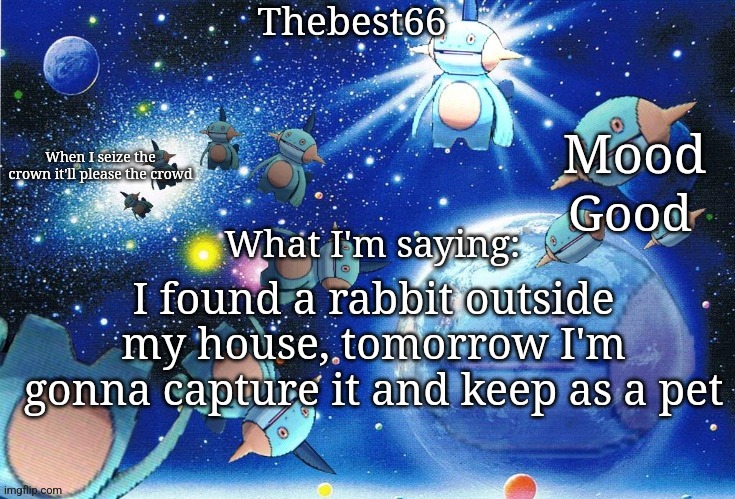 Marshtomp template thebest66 | Good; I found a rabbit outside my house, tomorrow I'm gonna capture it and keep as a pet | image tagged in marshtomp template thebest66 | made w/ Imgflip meme maker