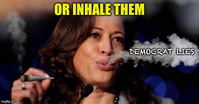 Kamala Harris stoned | OR INHALE THEM DEMOCRAT LIES | image tagged in kamala harris stoned | made w/ Imgflip meme maker