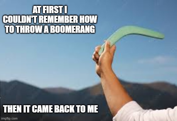 memes by Brad - I couldn't remember how to throw a boomerang then it hit me | AT FIRST I COULDN'T REMEMBER HOW TO THROW A BOOMERANG; THEN IT CAME BACK TO ME | image tagged in funny,sports,boomerang,throw,humor,australia | made w/ Imgflip meme maker