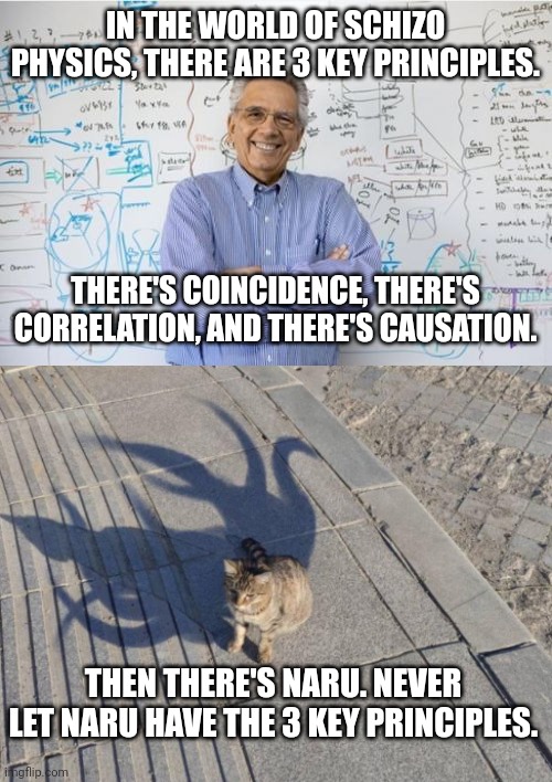 Image tagged in memes,engineering professor,eldritch cat