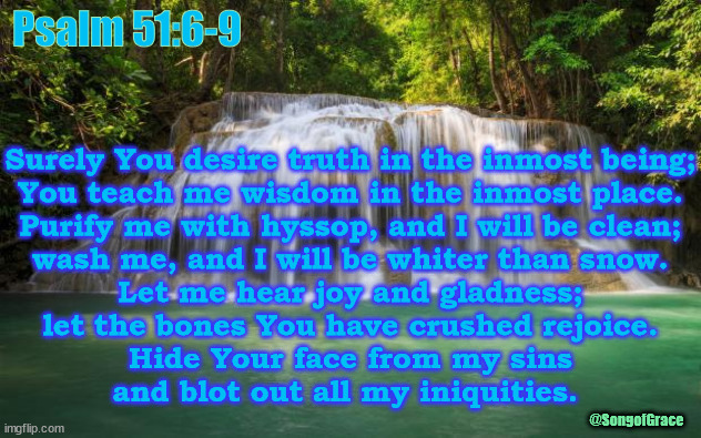 Psalm 51:6-9 | Psalm 51:6-9; Surely You desire truth in the inmost being;
You teach me wisdom in the inmost place.
Purify me with hyssop, and I will be clean;
wash me, and I will be whiter than snow.
Let me hear joy and gladness;
let the bones You have crushed rejoice.
Hide Your face from my sins
and blot out all my iniquities. @SongofGrace | image tagged in waterfall,biblical encouragement | made w/ Imgflip meme maker