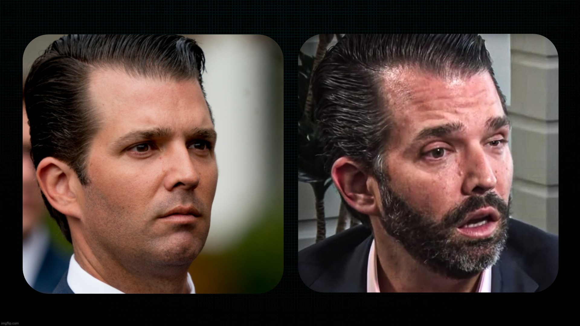 Donald Trump Jr Don Jr | image tagged in donald trump jr,don jr | made w/ Imgflip meme maker