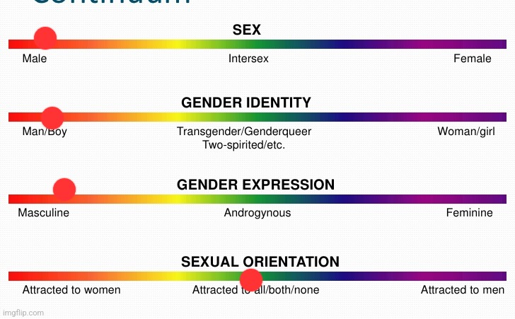 lgbtq spectrum | image tagged in lgbtq spectrum | made w/ Imgflip meme maker