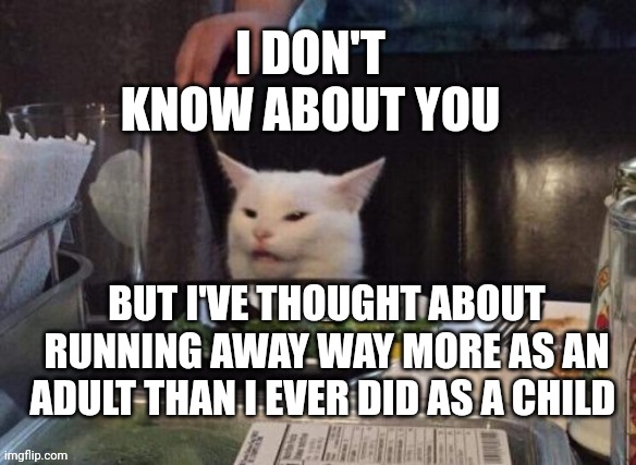 Smudge that darn cat | I DON'T KNOW ABOUT YOU; BUT I'VE THOUGHT ABOUT RUNNING AWAY WAY MORE AS AN ADULT THAN I EVER DID AS A CHILD | image tagged in smudge that darn cat | made w/ Imgflip meme maker