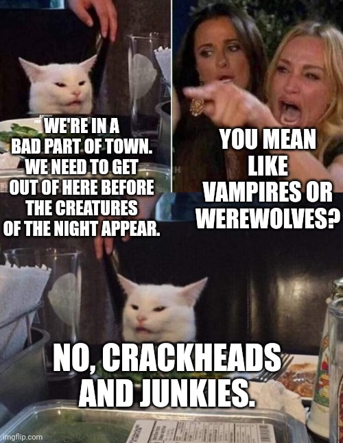 YOU MEAN LIKE VAMPIRES OR WEREWOLVES? WE'RE IN A BAD PART OF TOWN. WE NEED TO GET OUT OF HERE BEFORE THE CREATURES OF THE NIGHT APPEAR. NO, CRACKHEADS AND JUNKIES. | image tagged in reverse smudge that darn cat,salad cat | made w/ Imgflip meme maker