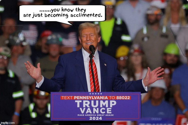 ..accilmented? | image tagged in accilmented,donnie dementia,stable floor genius,dump rally,maga mispronounce,trump's farwell tour | made w/ Imgflip meme maker