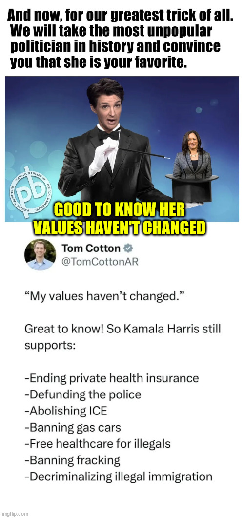 Good to know her values haven't changed | GOOD TO KNOW HER VALUES HAVEN'T CHANGED | image tagged in kamala harris,still an america hater,good to know | made w/ Imgflip meme maker