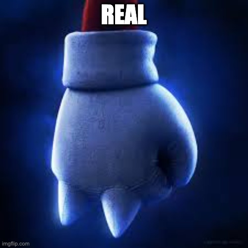 Knuckles' fist | REAL | image tagged in knuckles' fist | made w/ Imgflip meme maker