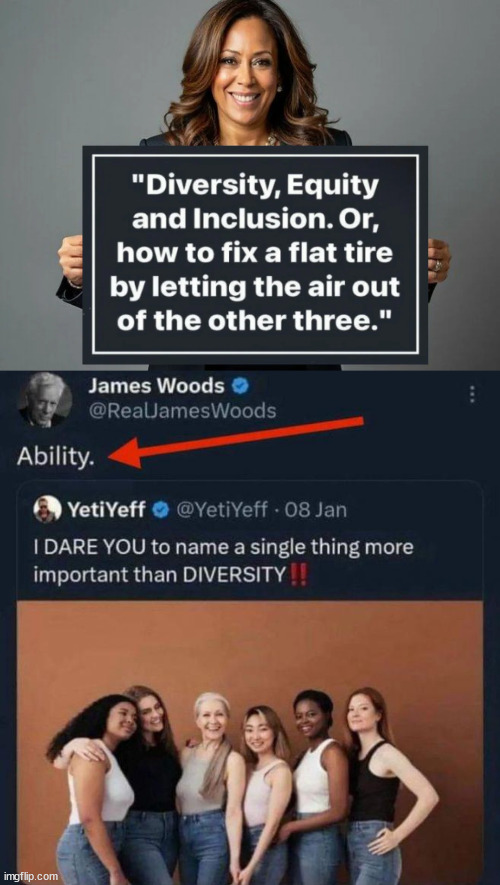 Ability... Nailed It... | image tagged in james woods,dei,didnot earn it,ability is more important,duh | made w/ Imgflip meme maker