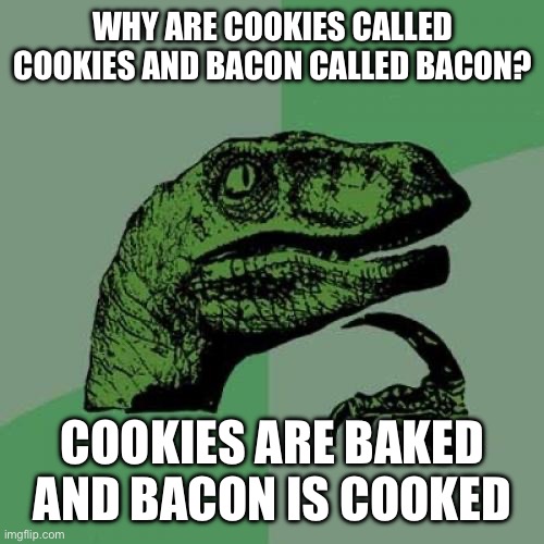 Am I right or am I right? | WHY ARE COOKIES CALLED COOKIES AND BACON CALLED BACON? COOKIES ARE BAKED AND BACON IS COOKED | image tagged in memes,philosoraptor | made w/ Imgflip meme maker