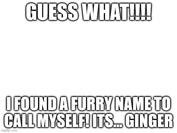 My furry name is Ginger from now on! i even have my own fursona that goes with the name! | GUESS WHAT!!!! I FOUND A FURRY NAME TO CALL MYSELF! ITS... GINGER | image tagged in ginger,furry | made w/ Imgflip meme maker