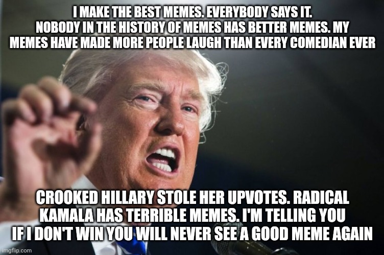 Campaign memes | I MAKE THE BEST MEMES. EVERYBODY SAYS IT. NOBODY IN THE HISTORY OF MEMES HAS BETTER MEMES. MY MEMES HAVE MADE MORE PEOPLE LAUGH THAN EVERY COMEDIAN EVER; CROOKED HILLARY STOLE HER UPVOTES. RADICAL KAMALA HAS TERRIBLE MEMES. I'M TELLING YOU IF I DON'T WIN YOU WILL NEVER SEE A GOOD MEME AGAIN | image tagged in donald trump | made w/ Imgflip meme maker