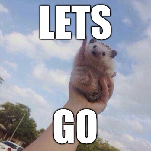 lets go | LETS GO | image tagged in lets go | made w/ Imgflip meme maker