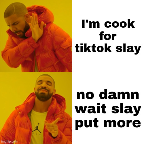 Drake Hotline Bling Meme | I'm cook for tiktok slay no damn wait slay put more | image tagged in memes,drake hotline bling | made w/ Imgflip meme maker