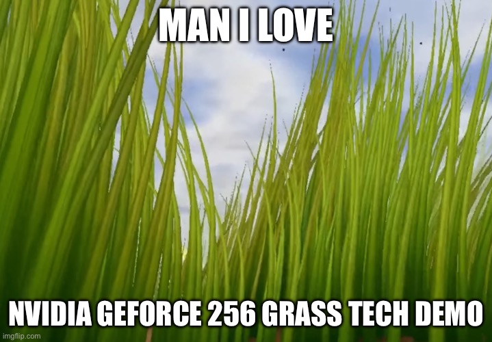 Me when nvidida 256 | MAN I LOVE; NVIDIA GEFORCE 256 GRASS TECH DEMO | image tagged in memes,funny memes,nostalgia | made w/ Imgflip meme maker