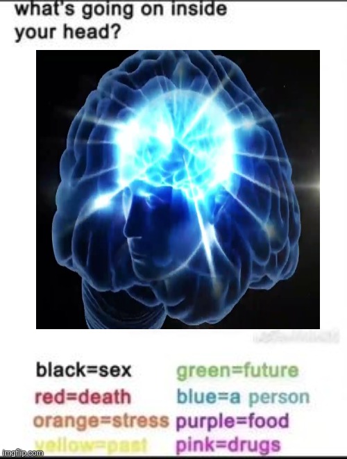What's going on inside your head? | image tagged in what's going on inside your head | made w/ Imgflip meme maker