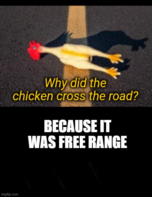 Fast food | BECAUSE IT WAS FREE RANGE | image tagged in why did the chicken cross the road | made w/ Imgflip meme maker