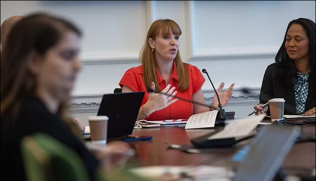 Angela Rayner Blank Meme Template