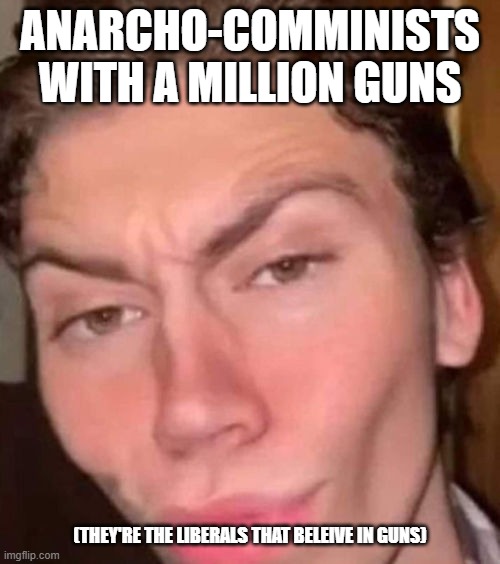 Rizz | ANARCHO-COMMINISTS WITH A MILLION GUNS (THEY'RE THE LIBERALS THAT BELEIVE IN GUNS) | image tagged in rizz | made w/ Imgflip meme maker