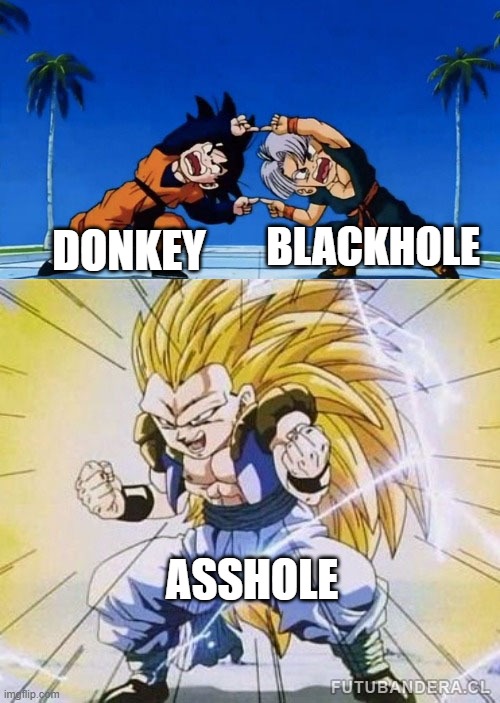 asshole sucked me up | BLACKHOLE; DONKEY; ASSHOLE | image tagged in dbz fusion | made w/ Imgflip meme maker