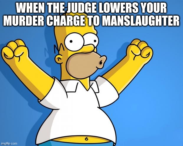 Woohoo Homer Simpson | WHEN THE JUDGE LOWERS YOUR MURDER CHARGE TO MANSLAUGHTER | image tagged in woohoo homer simpson | made w/ Imgflip meme maker