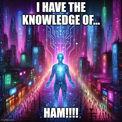 HAM | I HAVE THE KNOWLEDGE OF... HAM!!!! | image tagged in cool human | made w/ Imgflip meme maker