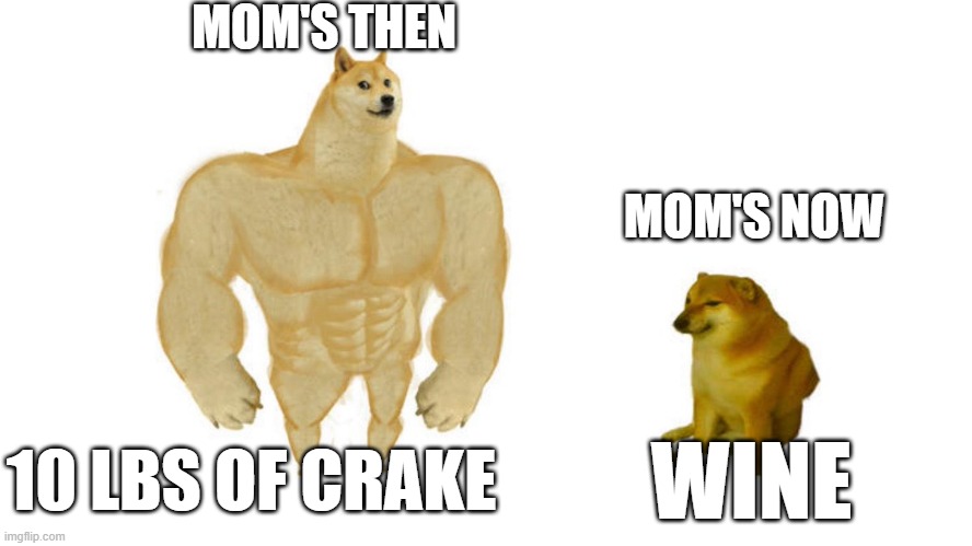 Dodge chad vs virgin | MOM'S THEN MOM'S NOW 10 LBS OF CRAKE WINE | image tagged in dodge chad vs virgin | made w/ Imgflip meme maker