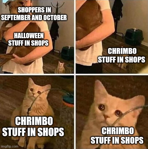 Ignored cat | SHOPPERS IN SEPTEMBER AND OCTOBER; HALLOWEEN STUFF IN SHOPS; CHRIMBO STUFF IN SHOPS; CHRIMBO STUFF IN SHOPS; CHRIMBO STUFF IN SHOPS | image tagged in ignored cat | made w/ Imgflip meme maker