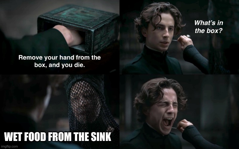 Dune What's in the box | WET FOOD FROM THE SINK | image tagged in dune what's in the box | made w/ Imgflip meme maker