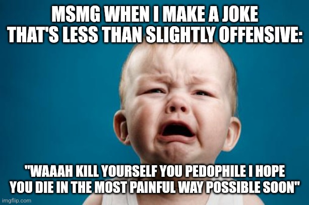 I swear the stream wasn't even close to being this sensitive back in the golden era of msmg | MSMG WHEN I MAKE A JOKE THAT'S LESS THAN SLIGHTLY OFFENSIVE:; "WAAAH KILL YOURSELF YOU PEDOPHILE I HOPE YOU DIE IN THE MOST PAINFUL WAY POSSIBLE SOON" | image tagged in crybaby | made w/ Imgflip meme maker