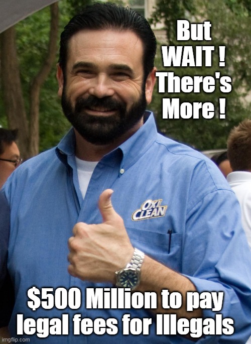 But WAIT ! There's More ! $500 Million to pay legal fees for Illegals | made w/ Imgflip meme maker