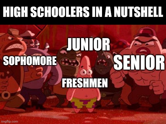 Patrick Star crowded | HIGH SCHOOLERS IN A NUTSHELL; JUNIOR; SOPHOMORE; SENIOR; FRESHMEN | image tagged in patrick star crowded | made w/ Imgflip meme maker