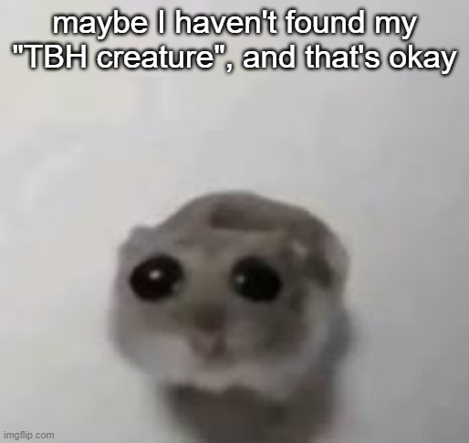 maybe I haven't found my "TBH creature", and that's okay | made w/ Imgflip meme maker