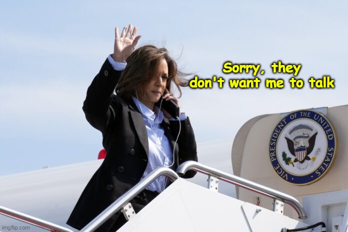 Just like the last Imbecile | Sorry, they don't want me to talk | image tagged in kamala phone fake comment dodger meme | made w/ Imgflip meme maker