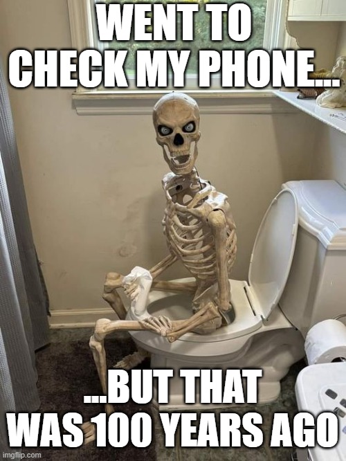 Just one more Tiktok...and then another and then another and then another and then another... | WENT TO CHECK MY PHONE... ...BUT THAT WAS 100 YEARS AGO | image tagged in funny,memes,fun,skeleton,toilet,phone | made w/ Imgflip meme maker